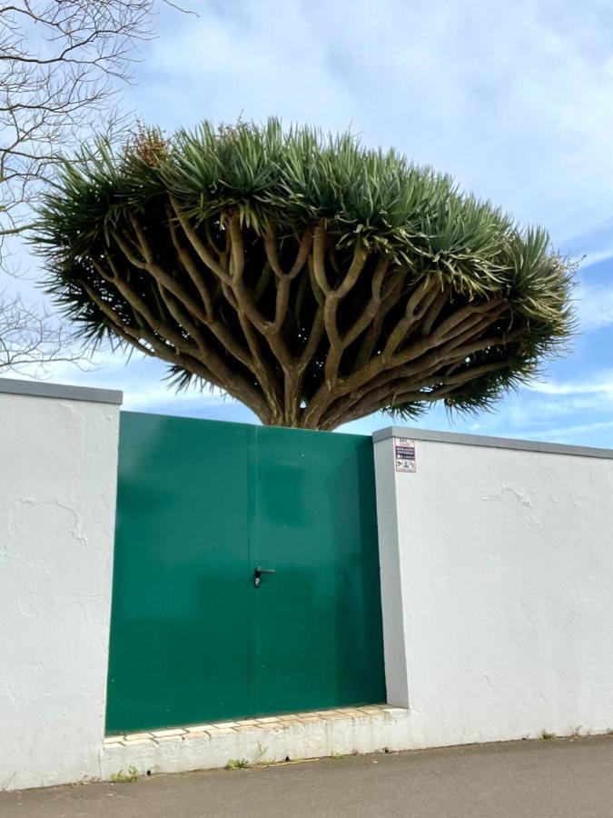 Villa Casa Às Sete Angra do Heroísmo Exterior foto